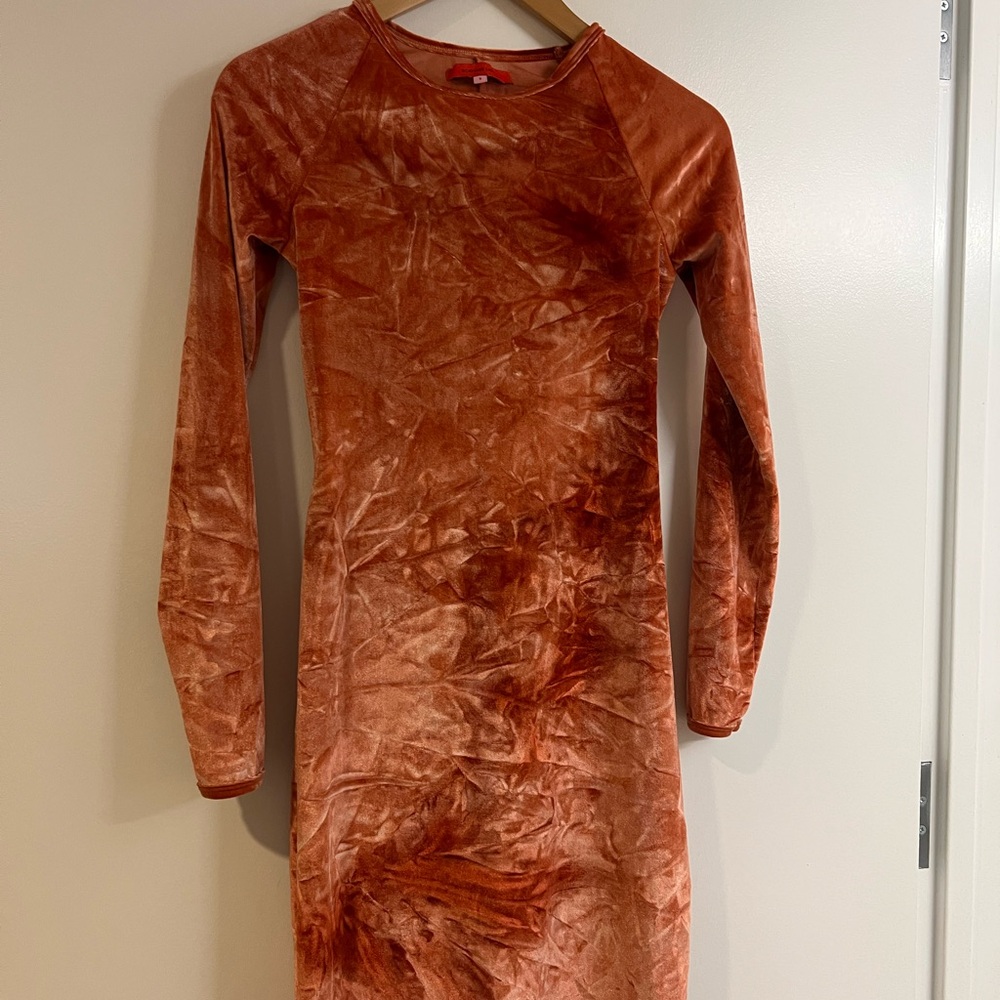Eckhaus Latta Velvet Long Sleeve Dress - like new